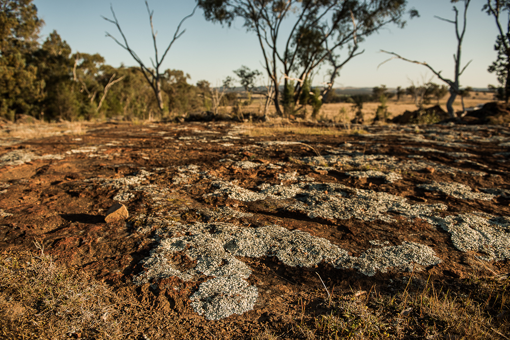 Australia announces updated Critical Minerals List